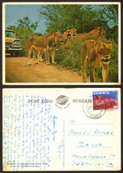 Zambia Lions Kruger National Park Nice Stamp   #29052 - Sambia