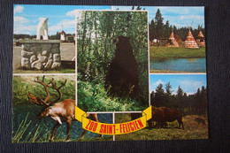 Saint Felicien Zoo , Deer, Bear - Old Postcard - Flusspferde
