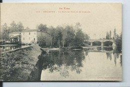 Réalmont  Tarn   Le Pont Et Moulin De Gassalés - Realmont