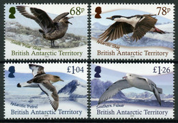 British Antarctic Territory 2020 - Faune Antarctique, Oiseaux - 4 Val Neufs // Mnh Set - Unused Stamps