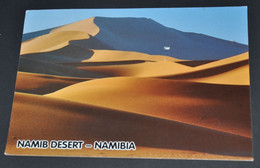 Namib Desert - Namibia - Namibië