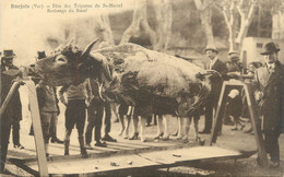 CPA FRANCE 83 " Barjols, Fête Des Tripettes De St Marcel, Rotissage Du Boeuf" - Barjols