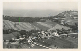 CPSM FRANCE 74 " Sciez, Bonnatrait, Le Lac Léman" - Sciez