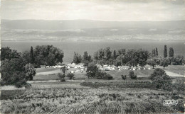 CPSM FRANCE 74 " Sciez, Les Rives Du Lac Léman" - Sciez