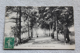 Cpa 1913, Le Vigan, Le Mont D'Haussez, Gard 30 - Le Vigan