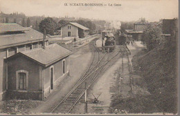 SCEAUX - LA GARE DE SCEAUX ROBINSON - Sceaux