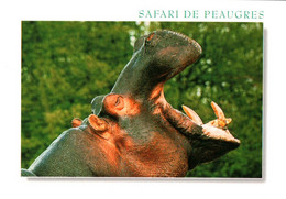 CPM - SAFARI PARC De PEAUGRES - HIPPOPOTAME - Edition Combier - Hippopotamuses