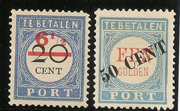HOLANDA  YVERT 25/26 (*) Mng  TASAS Y TIMBRES  1906  NL003 - Portomarken