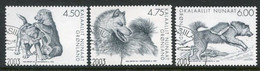 GREENLAND 2003  Greenland Sled Dogs Used.  Michel 393-95 - Used Stamps