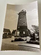 RUDDERVOORDE - Oostkamp (W.Vl.) - Molen/moulin Mühle Mill - Ter Mote - Oostkamp