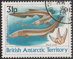 British Antarctic Territory 1991 Used Sc #174 31p Frilled Shark - Gebruikt