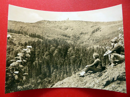 Großer Inselsberg Vom Aschenbergstein - Brotterode - Thüringer Wald - Echt Foto Thüringen 1972 - Tabarz