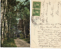 USA 1910 Postcard: One Of Plattsburg's Snady Drives  - Cancelled Glenlake Aug 12 1910  NY - Kansas City – Missouri