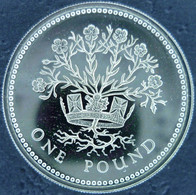 Gran Bretagna - Pound 1991 - Northern Ireland - Blooming Flax - KM# 946a - 1 Pond