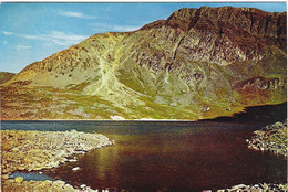 CADER IDRIS - FOXES PATH, SNOWDON, WALES. UNUSED POSTCARD Cg9 - Caernarvonshire