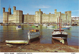 CAERNARFON CASTLE, GWYNEDD, WALES. UNUSED POSTCARD Ew3 - Caernarvonshire