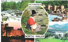 SCENES FROM NORTH WALES. UNUSED POSTCARD Ew4 - Caernarvonshire