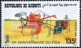 DJIBOUTI - Fonds International Pour Le Développement Agricole, 10e Anniv. - Fußball-Afrikameisterschaft