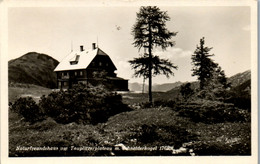 9852 - Steiermark - Tauplitz , Naturfreundehaus Am Tauplitzerplateau Mit Schneiderkogel - Gelaufen 1951 - Tauplitz