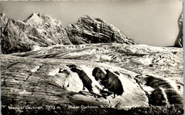 10089 - Steiermark - Niederer Dachstein , Hoher Dachstein , Gosau Gletscher - Nicht Gelaufen 1959 - Ausserland