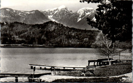 10115 - Kärnten - Klopeinersee Mit Hochobir , Steg - Gelaufen 1965 - Klopeinersee-Orte