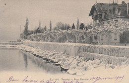 SUISSE - VERSOIX - Bise Glaciale - Versoix