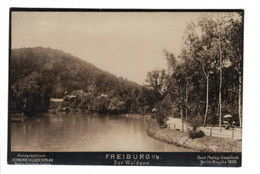 DG1884 - FREIBURG I/b DER WALDSEE - NPG PHOTO - Freiburg I. Br.