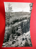 Großer Inselsberg - 1963 - Funkturm Brotterode Gipfel -  Echt Foto - Kleinformat - Thüringen - Tabarz