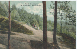 Groenendaal - La Sapinière à Groenendael - Forêt De Soignes - Höilaart