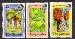 Gambia 1973 Mi 281-283 Agriculture - MNH - Gambia (1965-...)