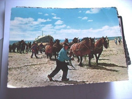 Nederland Holland Pays Bas Ameland Hollum Reddingsboot Met Paarden - Otros & Sin Clasificación