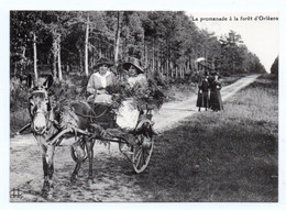 Reprise CPA Collection Ligneau 3034 Promenade En Forêt D'Orléans Cariole à âne - Paysans