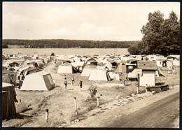 E2698 - Altenhof - Zeltplatz Süßer Winkel Am Werbellinsee - VEB Bild Und Heimat Reichenbach - Eberswalde