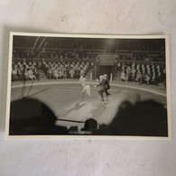 Circus - Cirque // Carte Photo - RPPC To Identify, Prob. Belgie No.6. // Mono Cycle Act.19?? - Circus