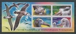 TAAF 2010 Bloc  N° 24 ** Neuf MNH Superbe C 8,80 € Animaux Oiseaux Birds Albatros Animals Faune - Blocks & Sheetlets