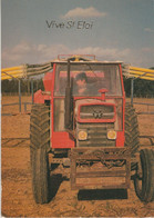 Agriculture - Tracteur MASSEY & FERGUSSON ... Travaux Des Champs - Tracteurs