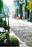 MERMAID STREET, RYE, SUSSEX, ENGLAND. UNUSED POSTCARD  F1 - Rye