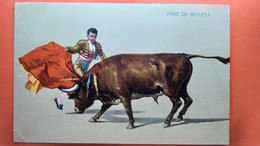 CPA. CORRIDA. PASE DE MULETA.  (R1.1031 ) - Corrida