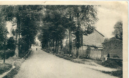 79 - La Crèche : L' Allée Des Soupirs Avant Le Cyclone  Du 22 Février 1935 - L'Absie