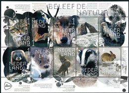 Nederland NVPH 3711-20 V3711-20 Vel Beleef De Natuur Zoogdieren 2019 Postfris MNH Netherlands Fauna - Ungebraucht