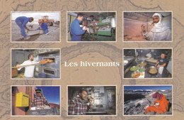 TERRES AUSTRALES ET ANTARCTIQUES FRANCAISES - Les Hivernants - TAAF : French Southern And Antarctic Lands