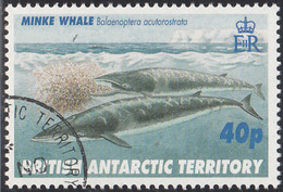British Antarctic Territory 1996 Used Sc #246 40p Minke Whale - Oblitérés