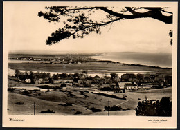 F1138 - TOP Hiddensee  - Foto Herold Handabzug - Hiddensee