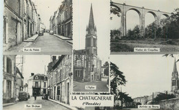 CPSM FRANCE 85 "La Chataigneraie" - La Chataigneraie