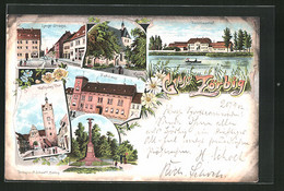 Lithographie Zörbig, Langestrasse, Dorotheenhof, Rathaus, Kirche, Hallisches Tor - Zörbig