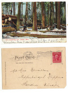 USA  1906 Card 510 Lumbering Timber Near Duluth Minnesota, Cancelled Duluth Minn. Oct 22 1906 - Duluth