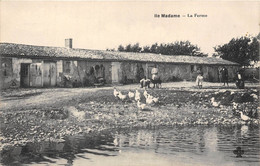 17-FOURAS-ILE MADAME- LA FERME - Fouras-les-Bains