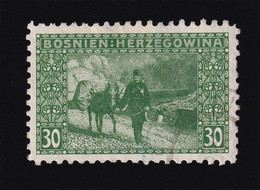 BOSNIA AND HERZEGOVINA - Landscape Stamp 30 Hellera, Perforation 9 ½, Stamp Cancelled - Bosnien-Herzegowina