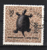 # POLONIA POLAND POLSKA - 1963 - Emys Orbicularis - Turtle Animal - Used Stamp - Otros & Sin Clasificación