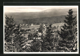 AK Schellerhau /Erzgeb, Gesamtansicht Aus Der Vogelschau - Schellerhau